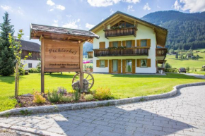 Отель Pichlerhof, Валле-Ди-Казиес